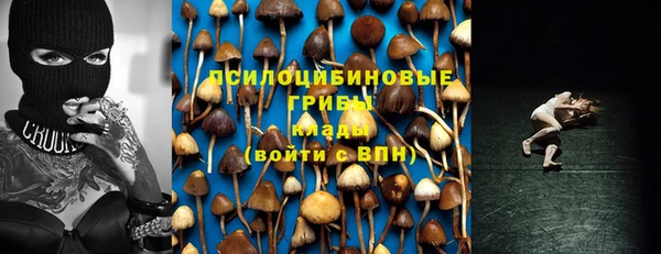 герыч Протвино