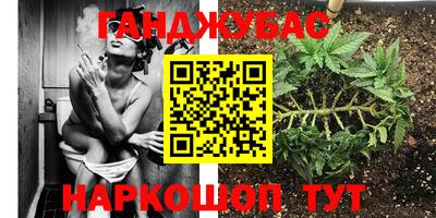 стафф Заволжье