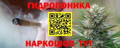 прущие крисы Заводоуковск